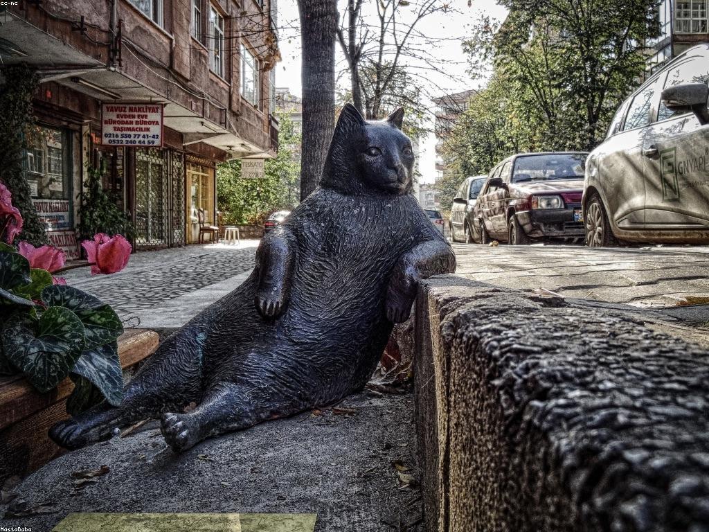 ព័ត៌មានថ្មីៗអំពីការប្រកួតកីឡា