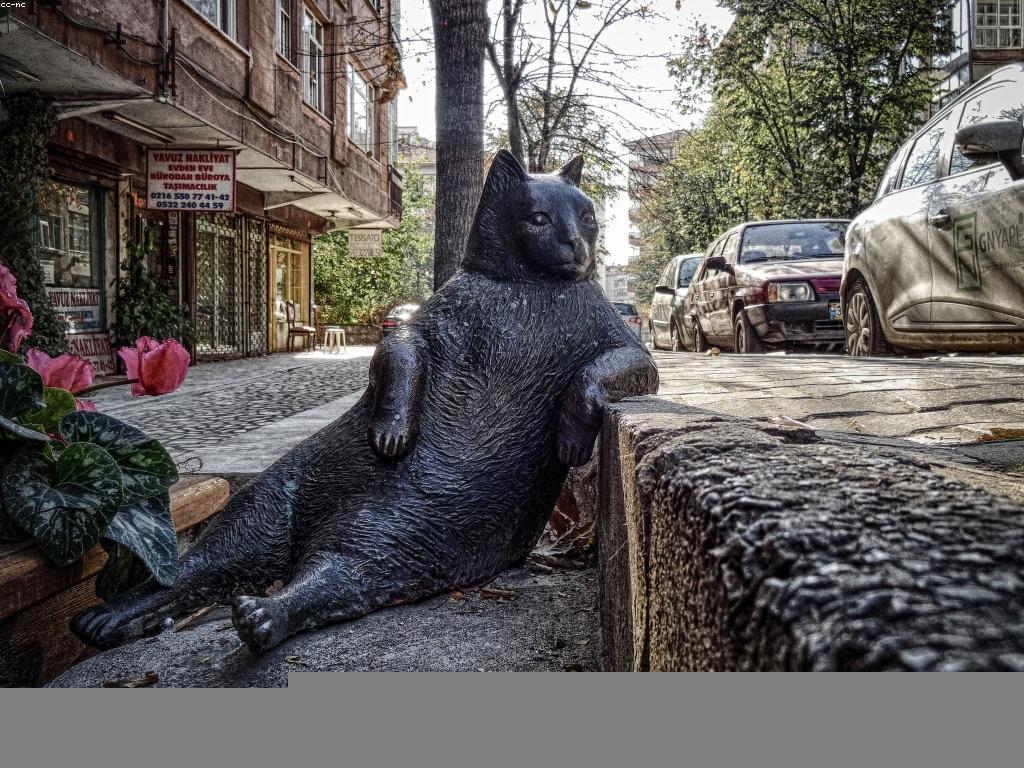 វិធីសាស្ត្រដើម្បីទទួលបានបទបញ្ញាក់ពីអតិថិជនរបស់អ្នក