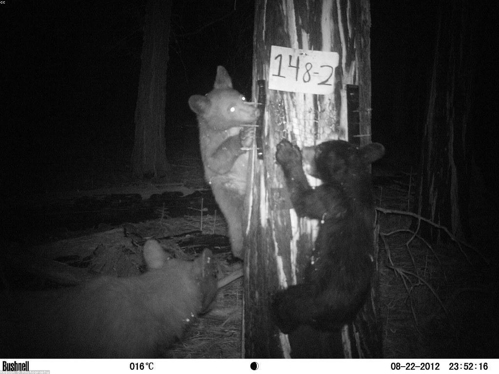 ការកែលម្អសេវាកម្មនិងការជួយសម្រាប់អ្នកប្រើ